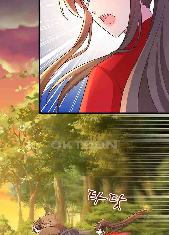 광비: 뚱보 악녀로 환생한 특수요원 245 5
