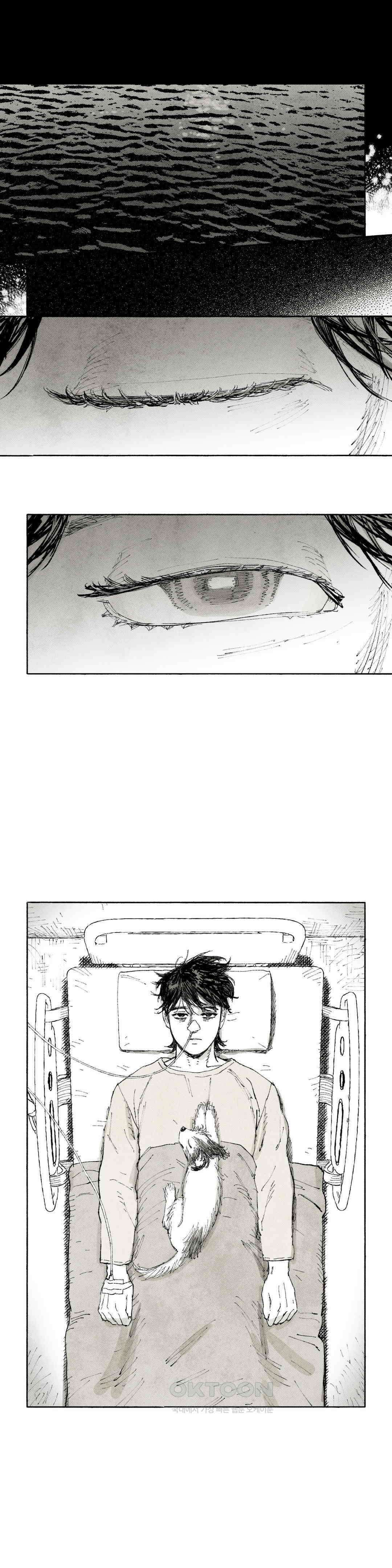 불멸의 날들 늪 (14) 6