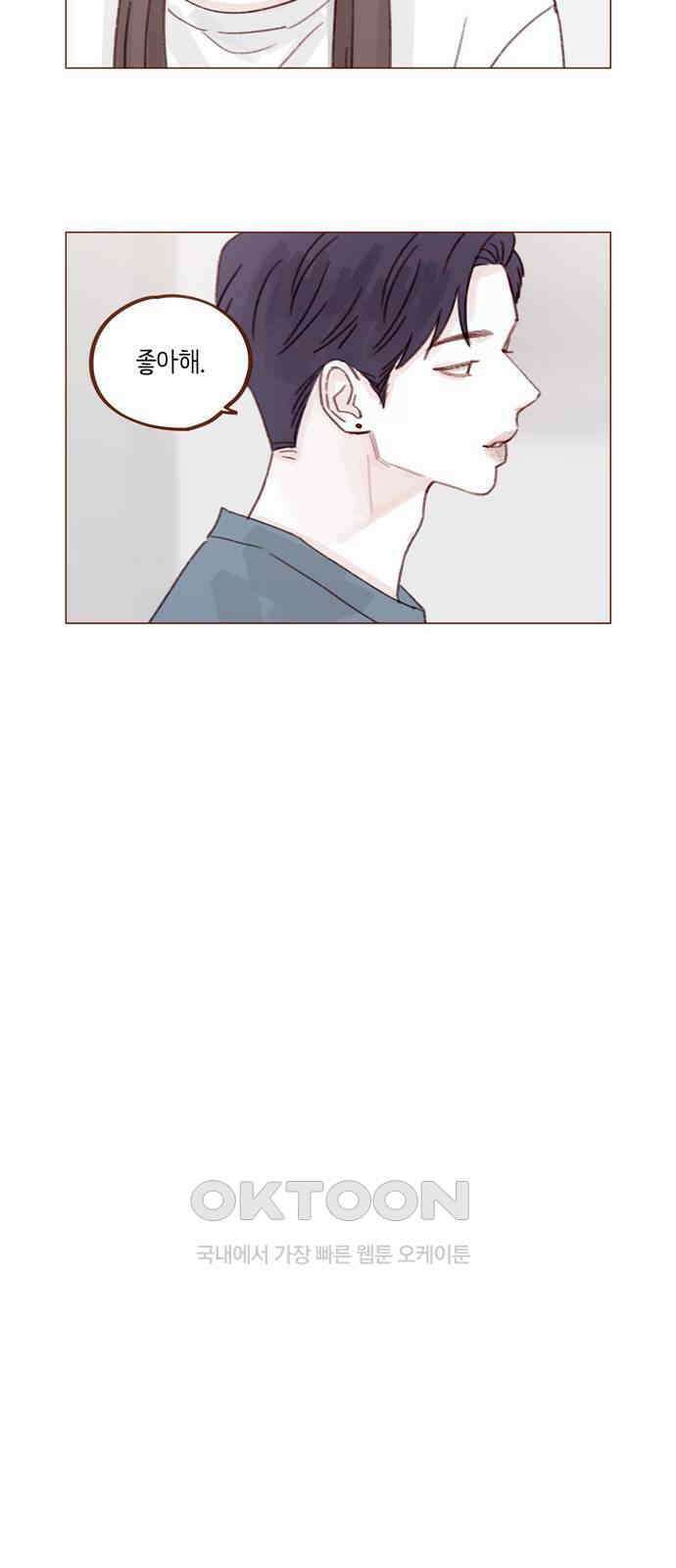 홍시는 날 좋아해! 278화 : 좋아해 13