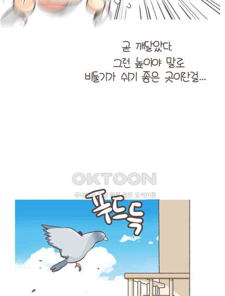 유부녀의 탄생 S5E22 비둘기와 살 수 없어 6