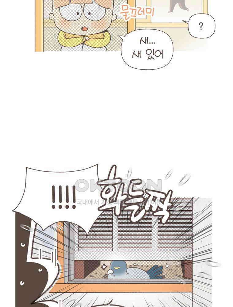 유부녀의 탄생 S5E22 비둘기와 살 수 없어 9