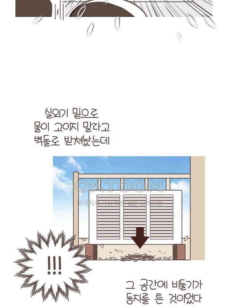 유부녀의 탄생 S5E22 비둘기와 살 수 없어 10
