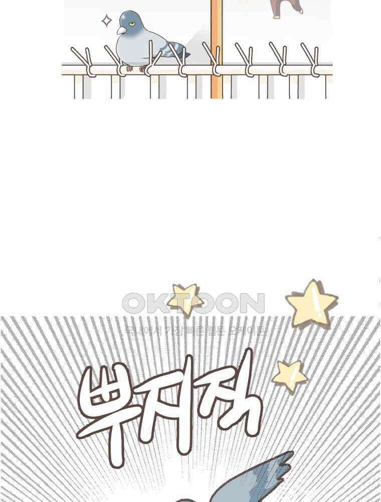 유부녀의 탄생 S5E22 비둘기와 살 수 없어 34