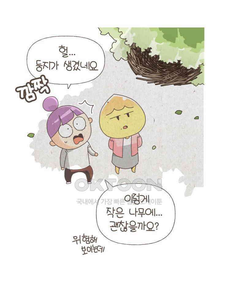 유부녀의 탄생 S5E22 비둘기와 살 수 없어 39