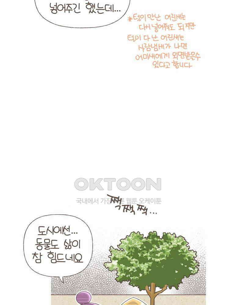 유부녀의 탄생 S5E22 비둘기와 살 수 없어 41