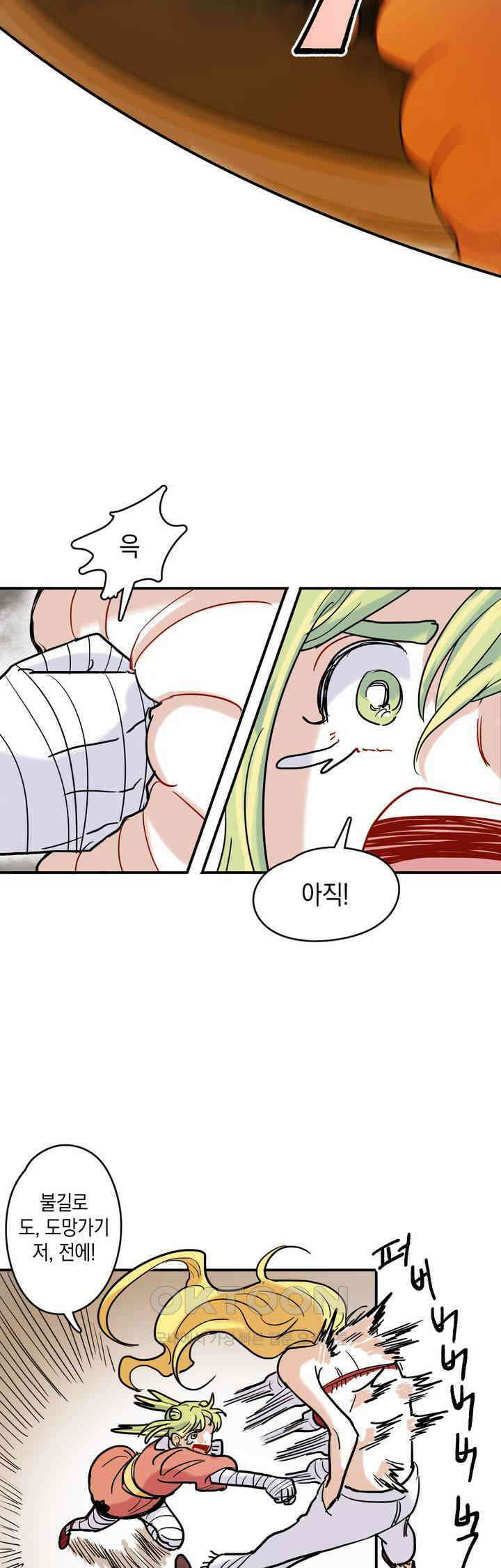 마법사와 춤을 29． 불같은 분노 28