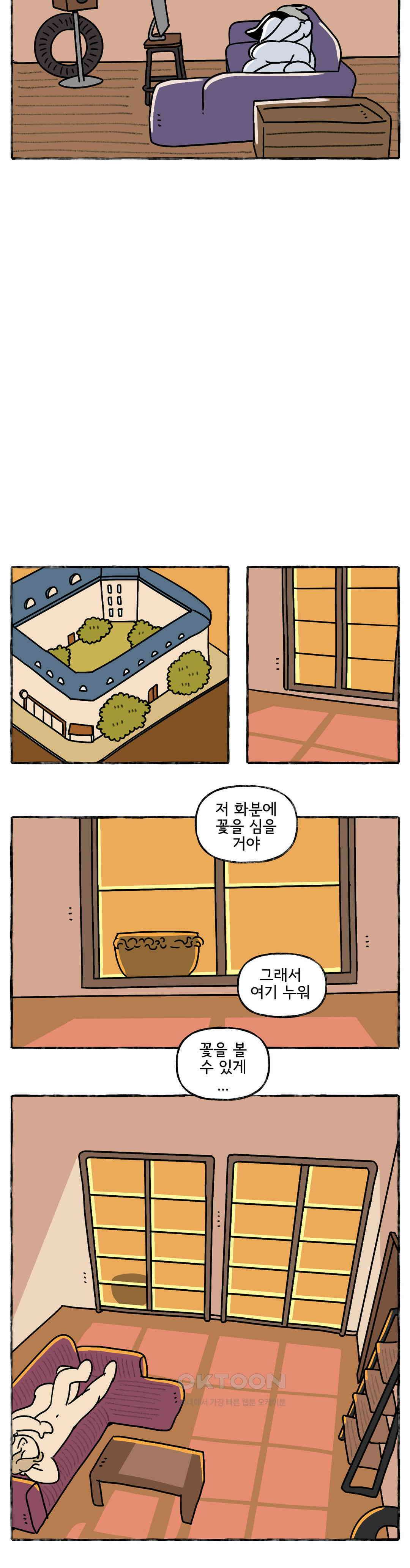 몸만 원해 시에스타가 끝나고 17