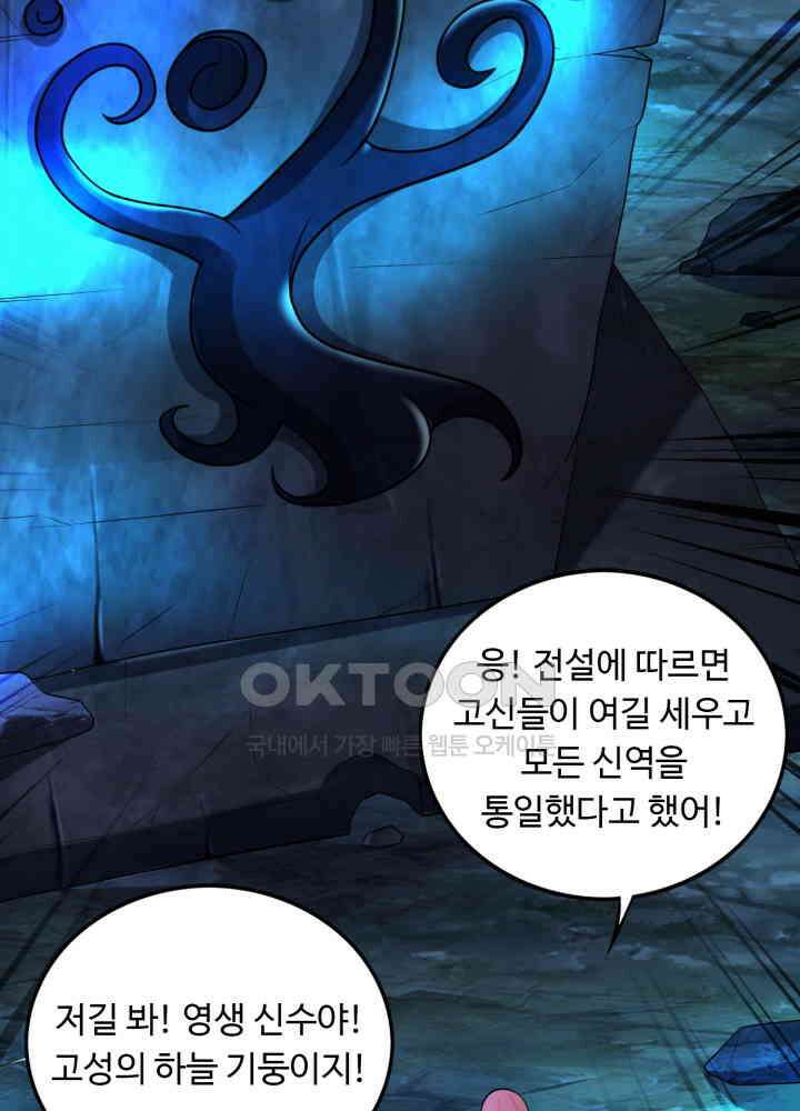 최강신의 255 6