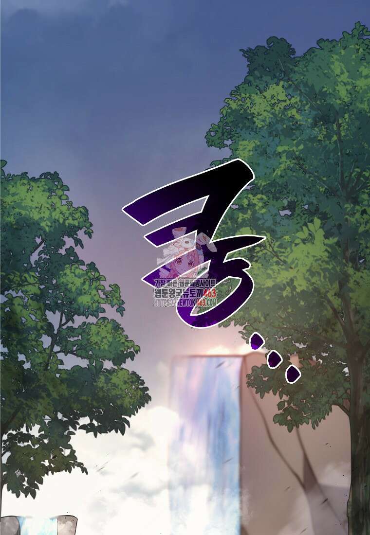 회귀했는데 FFF급 부두술사 96화 1