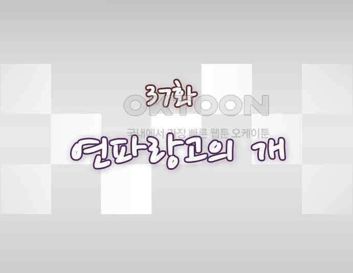 우리들은 푸르다 37화 연파랑고의 개 1
