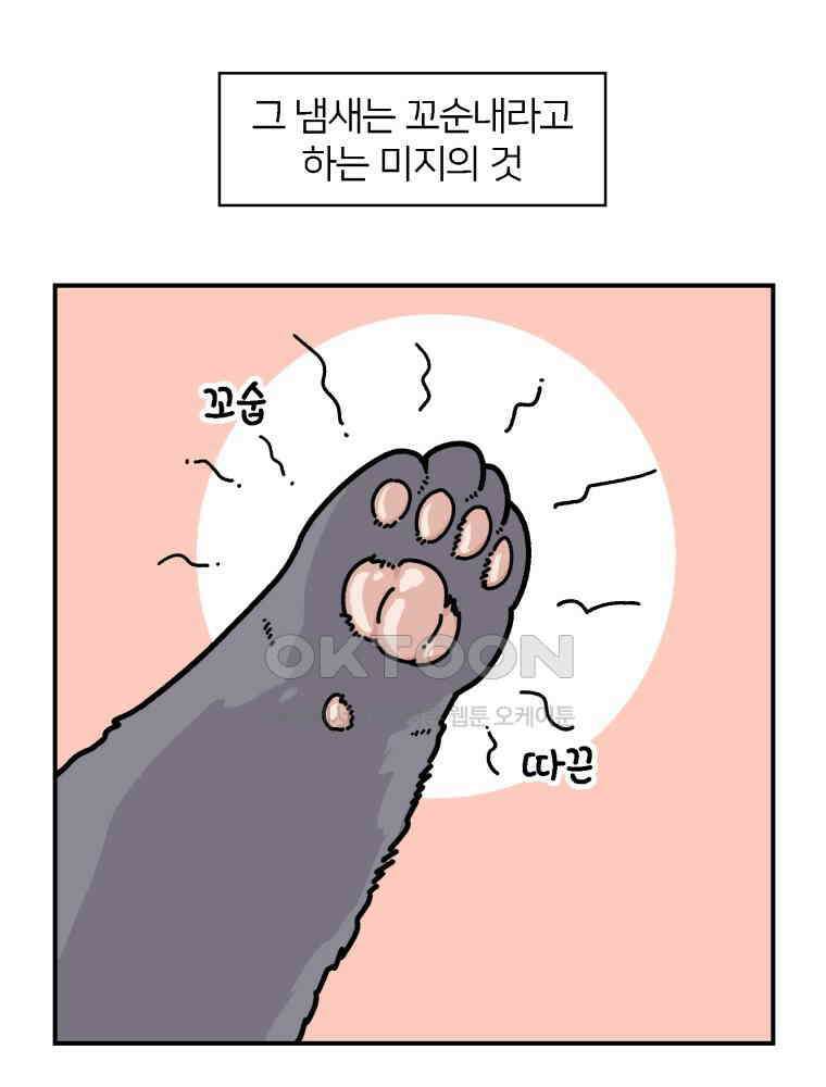 어쩌다 햄스터 35． 냄새 맡는 집사 7