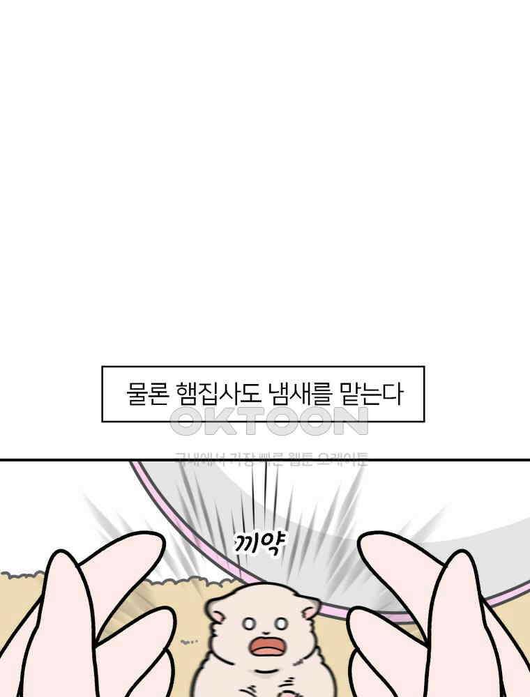어쩌다 햄스터 35． 냄새 맡는 집사 14