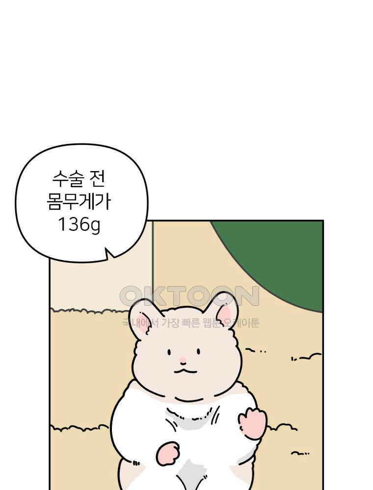 어쩌다 햄스터 48． 이별의 시간 (1) 1