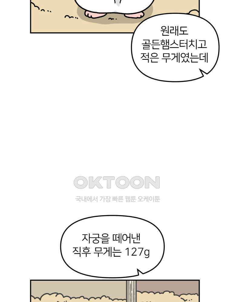 어쩌다 햄스터 48． 이별의 시간 (1) 2