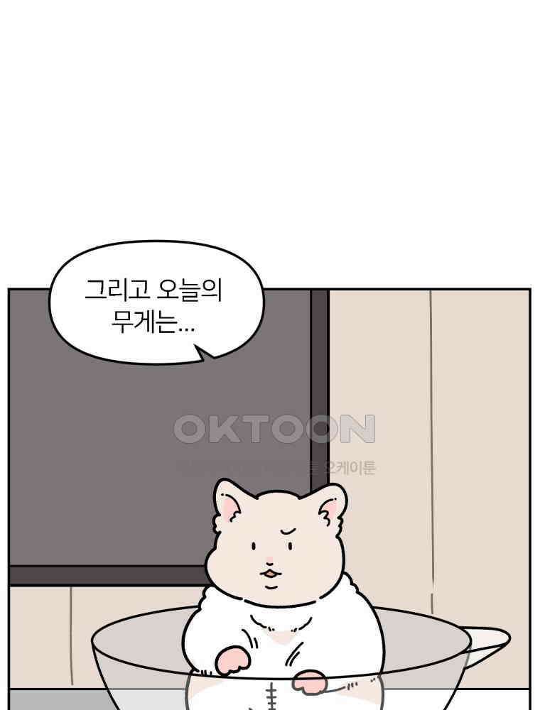 어쩌다 햄스터 48． 이별의 시간 (1) 4