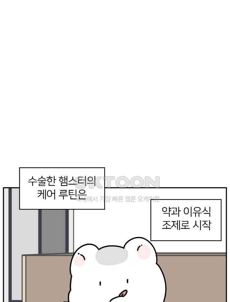 어쩌다 햄스터 48． 이별의 시간 (1) 11