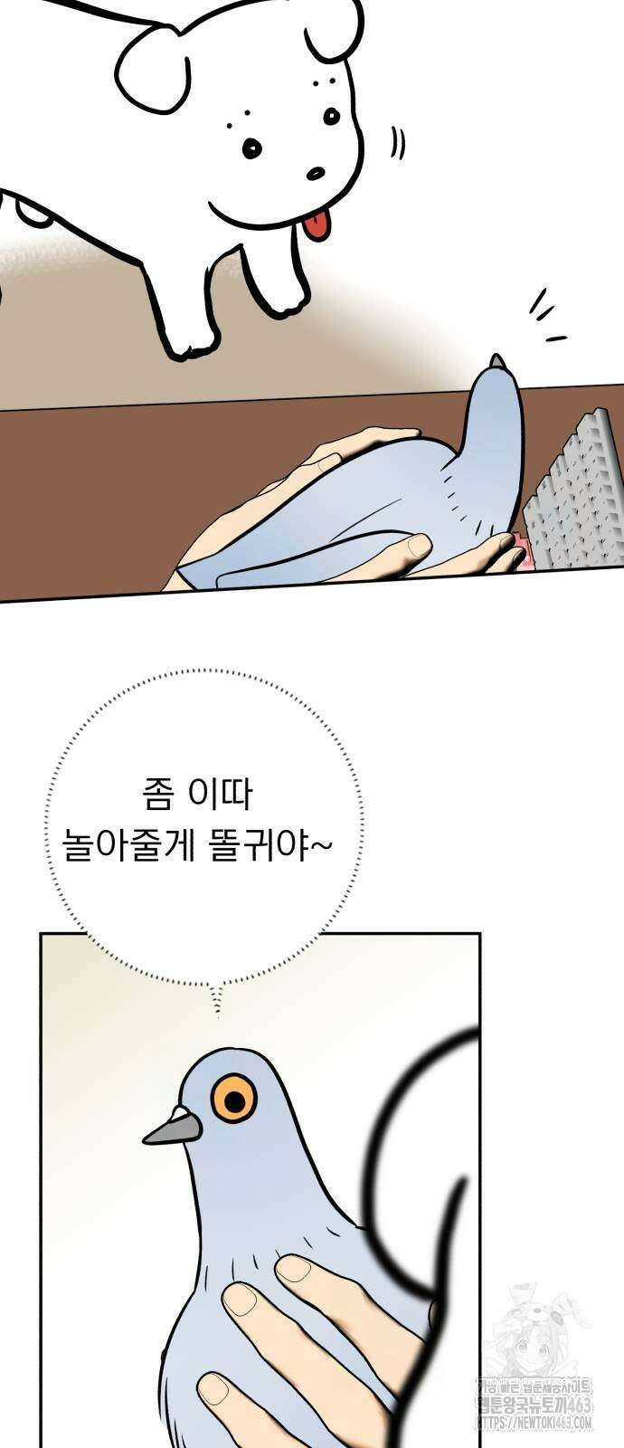 성북구 비둘기 이헌서 25화 3