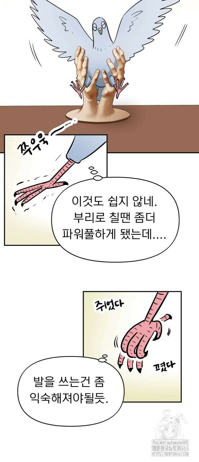 성북구 비둘기 이헌서 25화 5