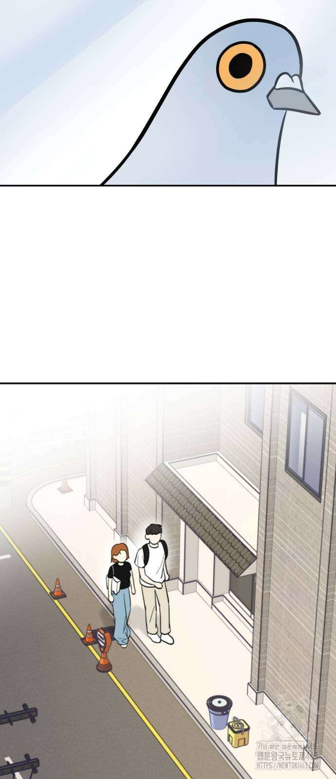 성북구 비둘기 이헌서 25화 9