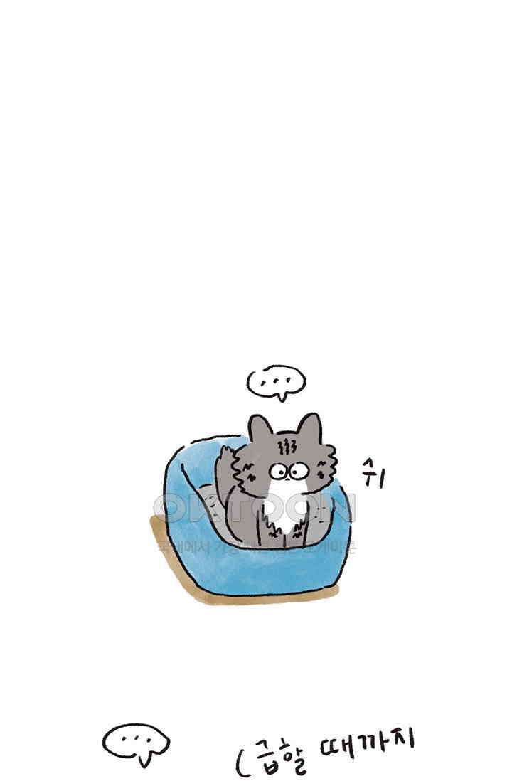 은동스+옹동스 은동스 252화． 게스트 하우스 11