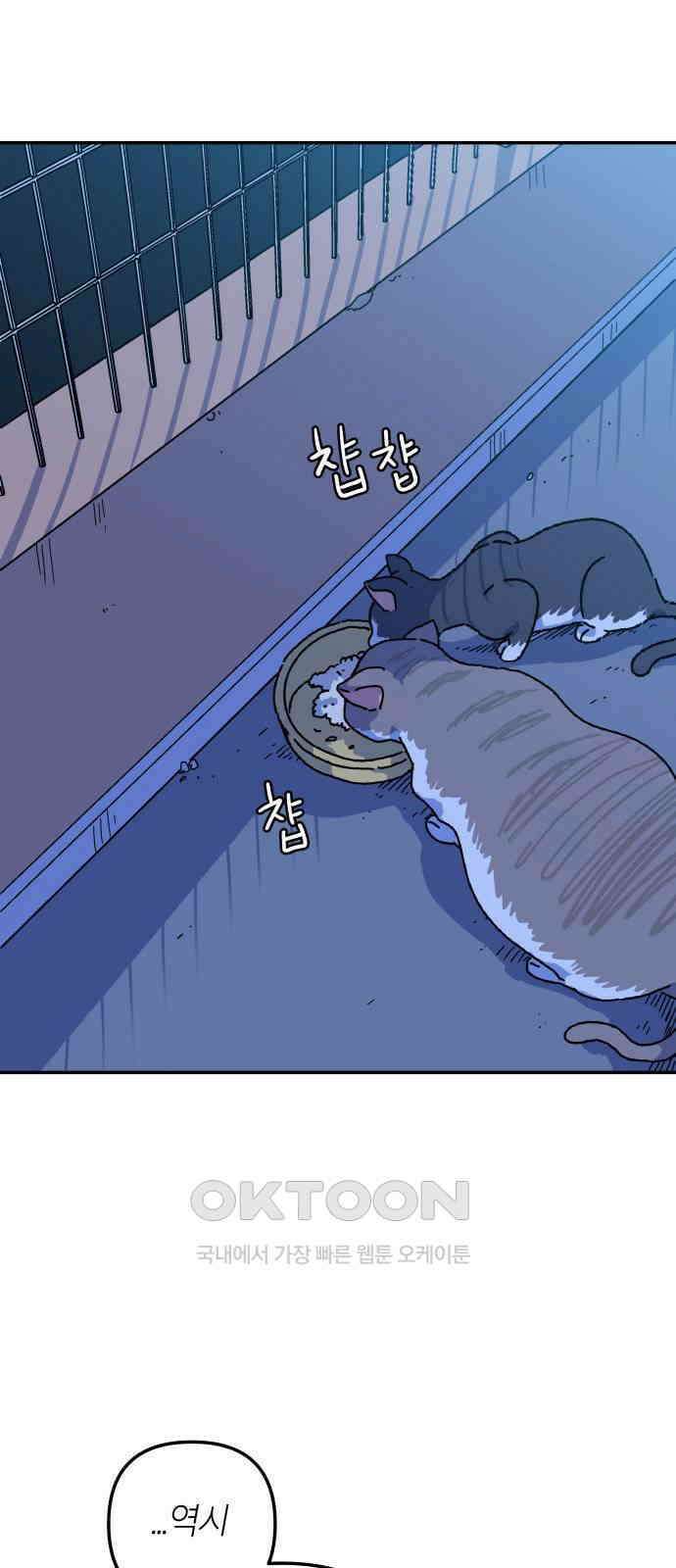 로봇소녀 노이도 24화 불량품 15