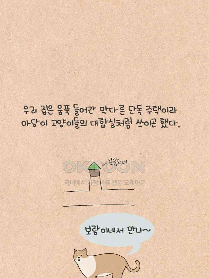 퀴퀴한 일기 ＃427． 다정한 고양이와 쌀쌀맞은 개_1 10