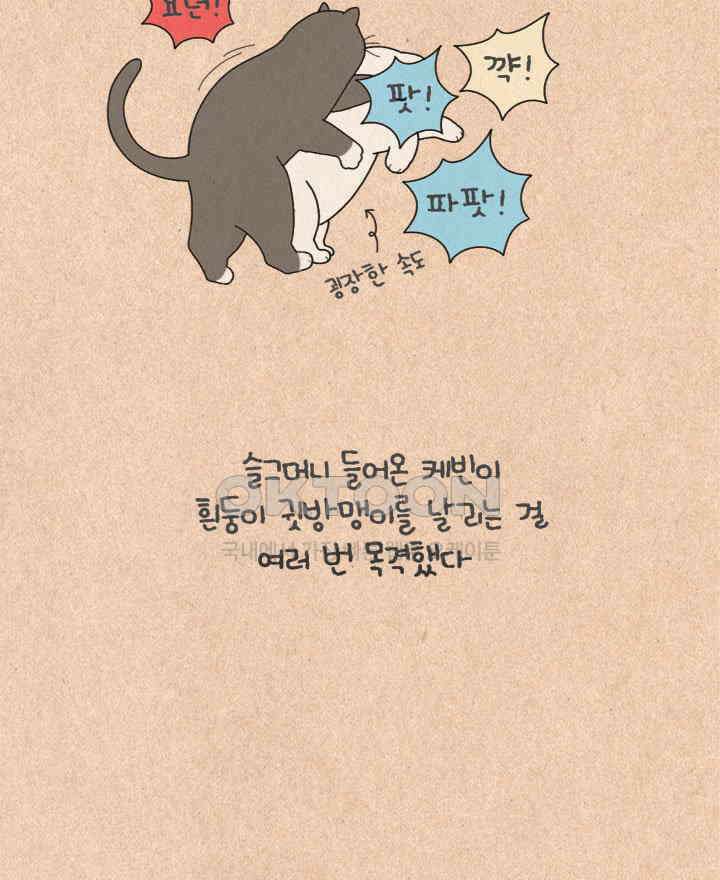 퀴퀴한 일기 ＃427． 다정한 고양이와 쌀쌀맞은 개_1 31