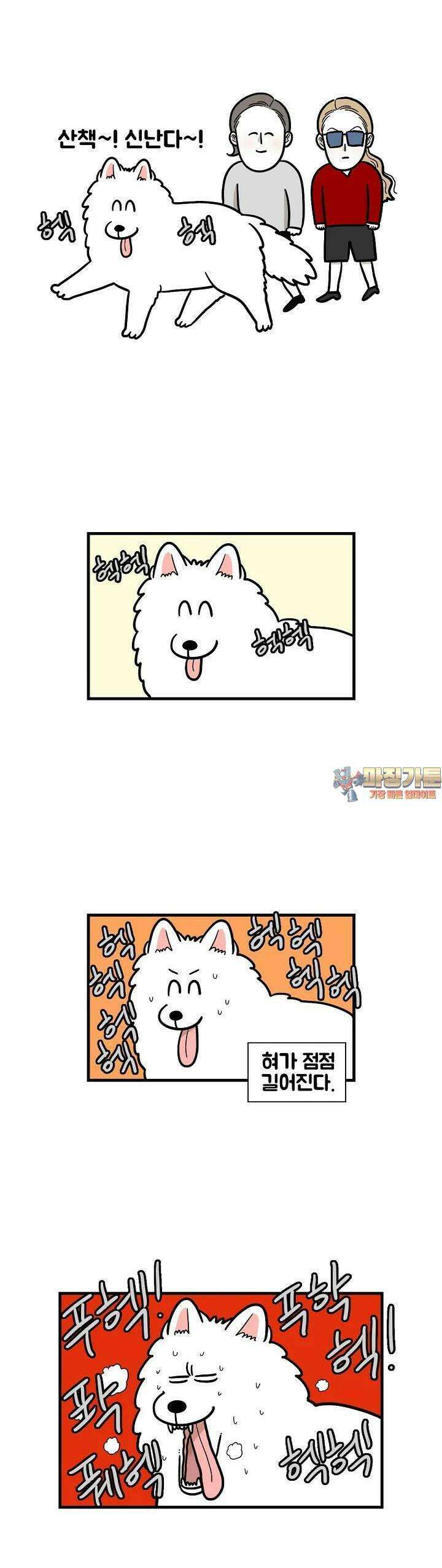 극한견주 60화 솜이의 하루 2 (완결) 1