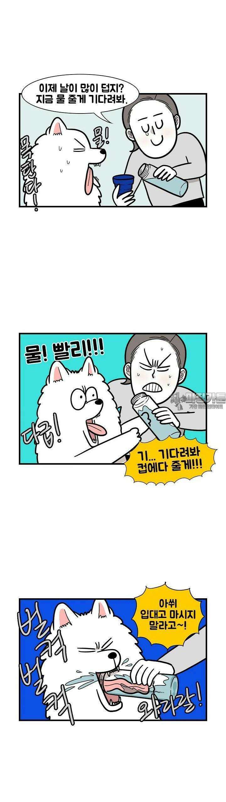 극한견주 60화 솜이의 하루 2 (완결) 2