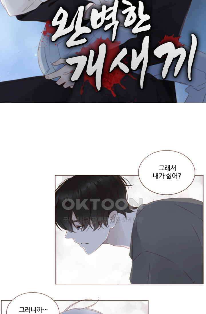 완벽한 개새끼 55화 5
