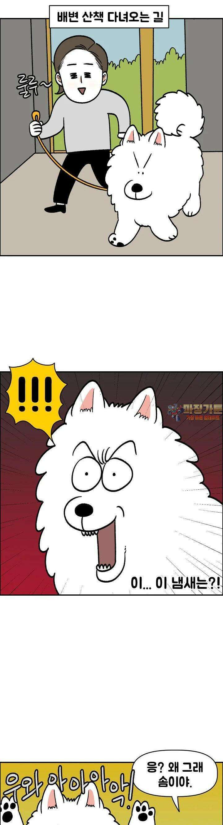 극한견주 외전 4화 장난 1