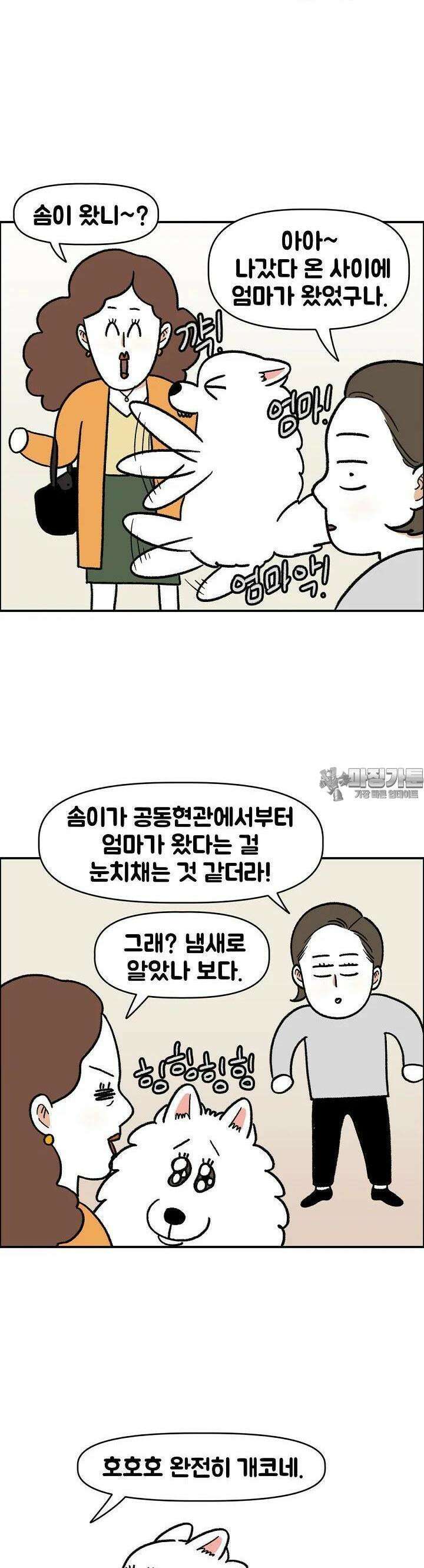 극한견주 외전 4화 장난 3