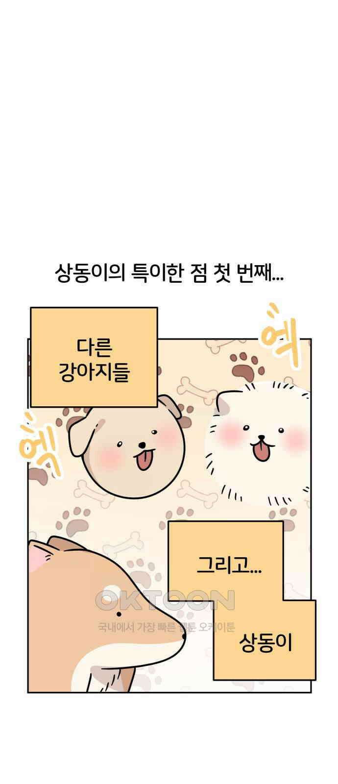 시바, 만만치 않다 11화 4