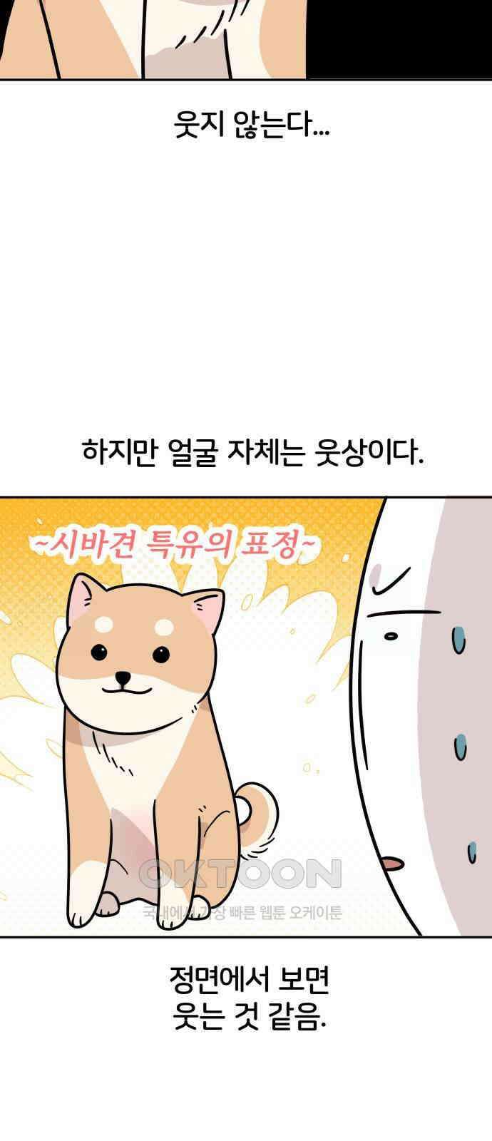 시바, 만만치 않다 11화 7