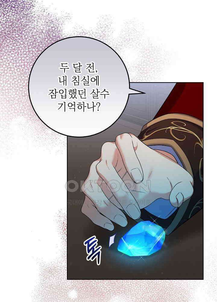 셀럽 레이디 34화 5