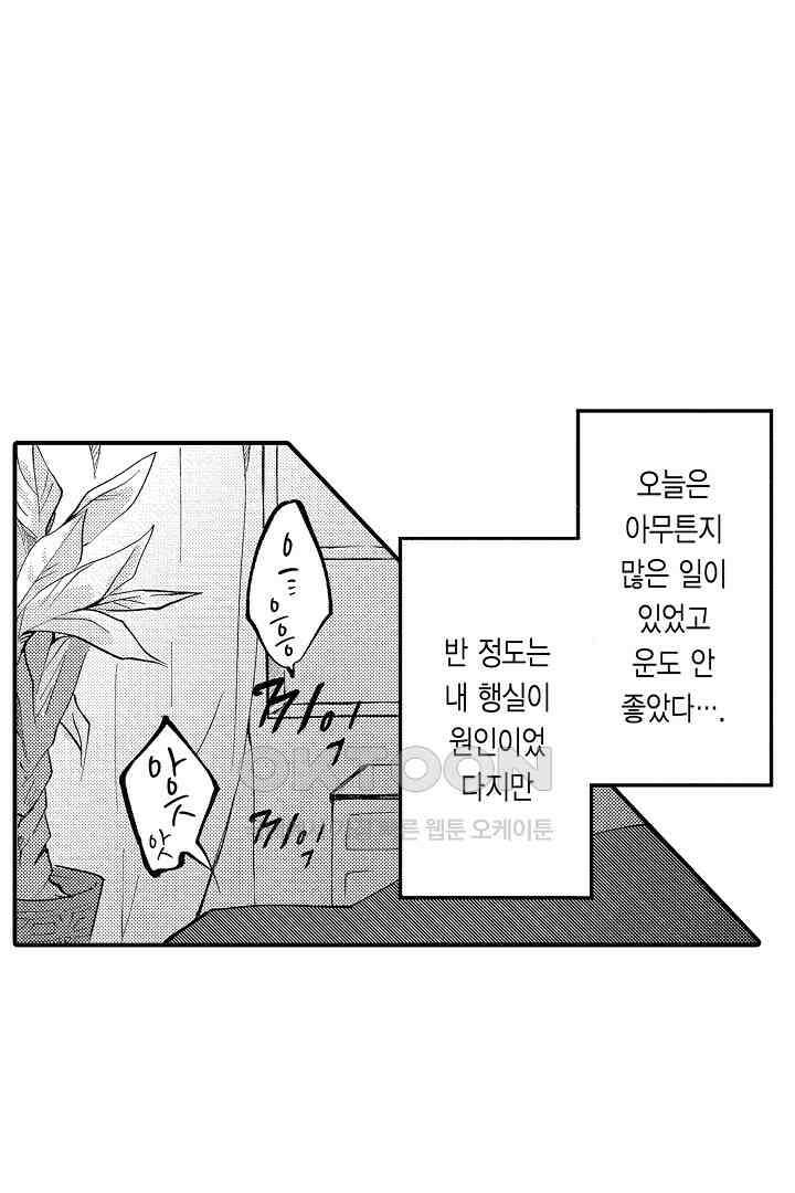 밤새 난잡하게 훈육해 주겠어 1화 3