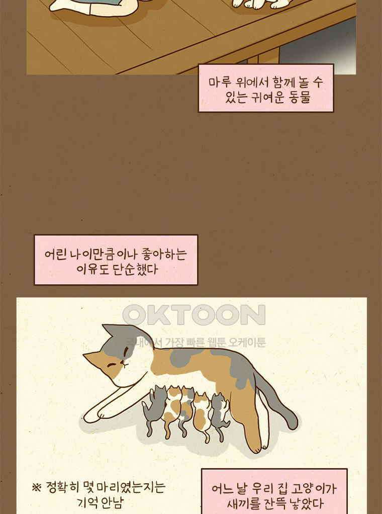 반지하셋방 406화 고양이가 좋아 4