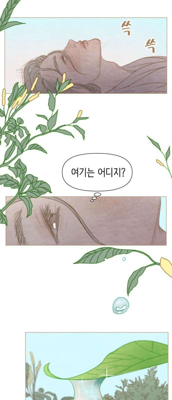 율리 2부 1． 쿠무치 관장의 경우 10