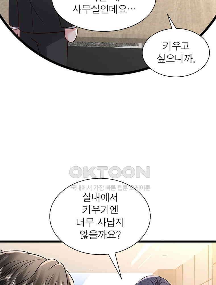 계약 남편에게 끌리는 이유 274화 12