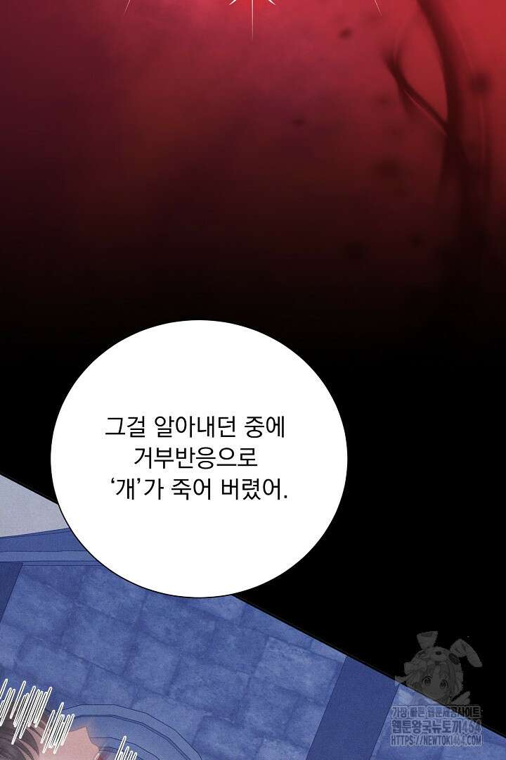 신데렐라의 마법이 풀린 후 55화 101