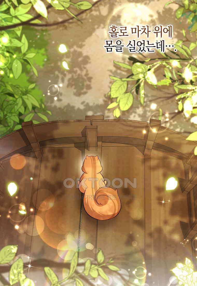 아기 다람쥐가 다 잘해요 86화 8