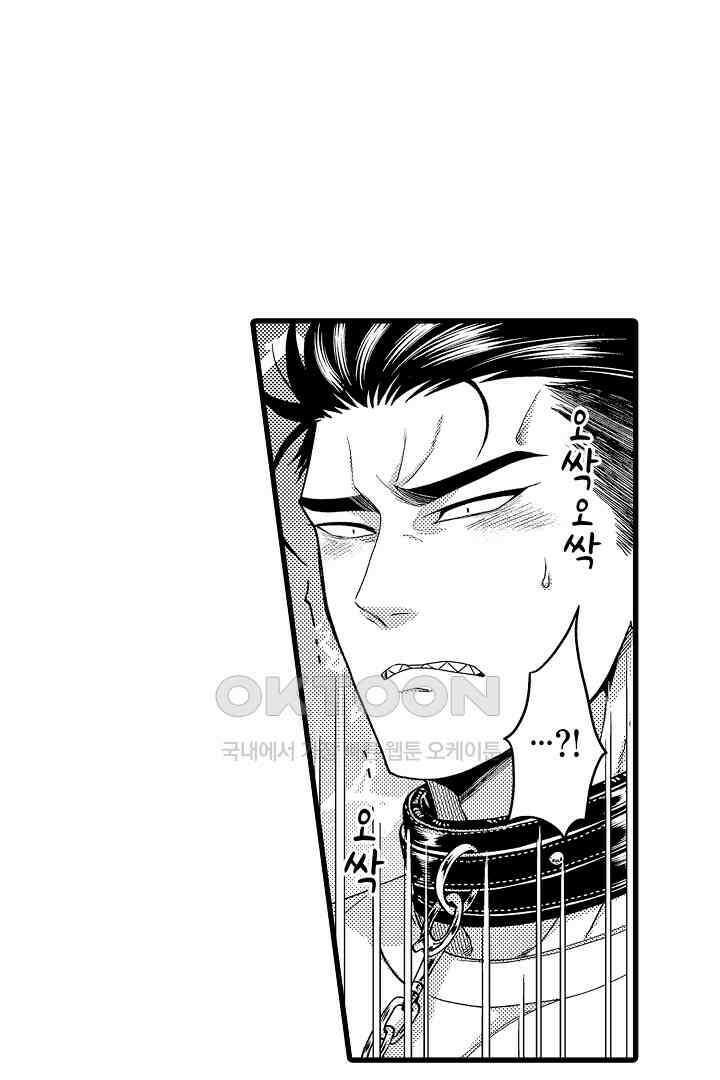 양키 군은 개가 되고 싶어 6화 5
