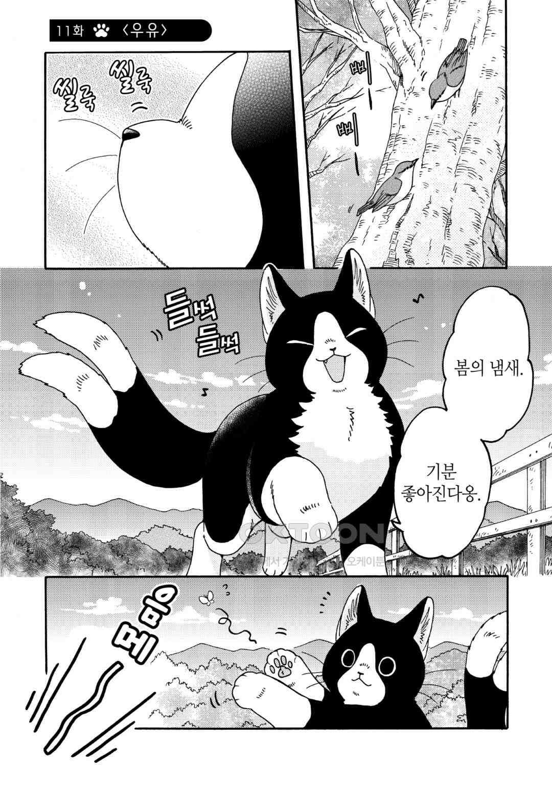 네코마타와 아침밥 11화 3
