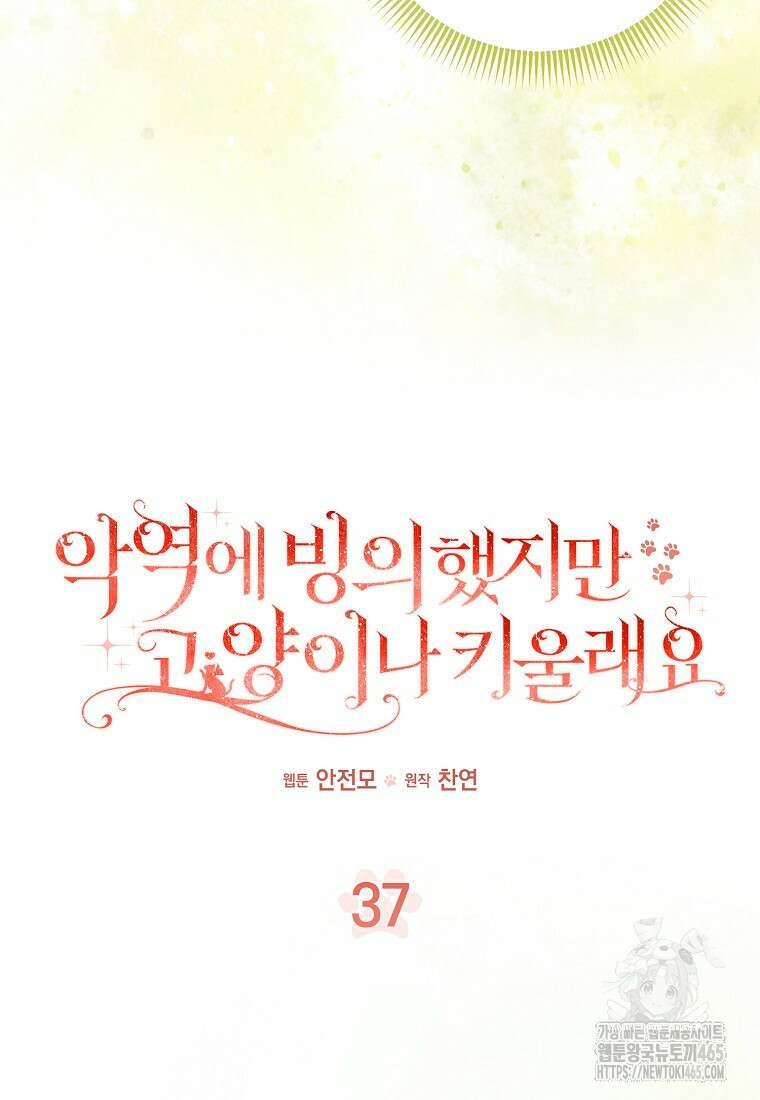 악역에 빙의했지만, 고양이나 키울래요 37화 12