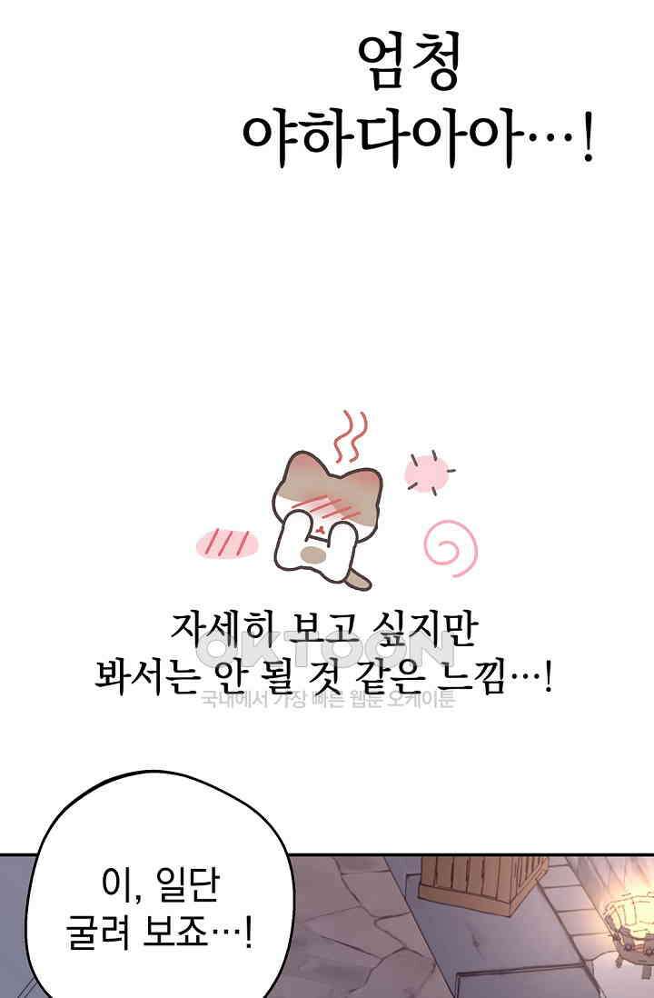 엘프의 짝짓기 29화 20