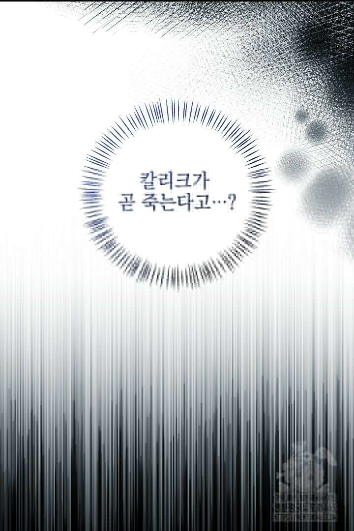 폭군에게 찍힌 민폐 황후입니다 28화 88