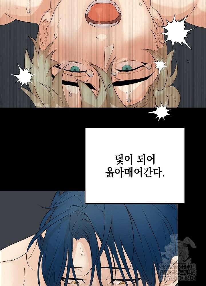 덫과 미학 [프롤로그] 14
