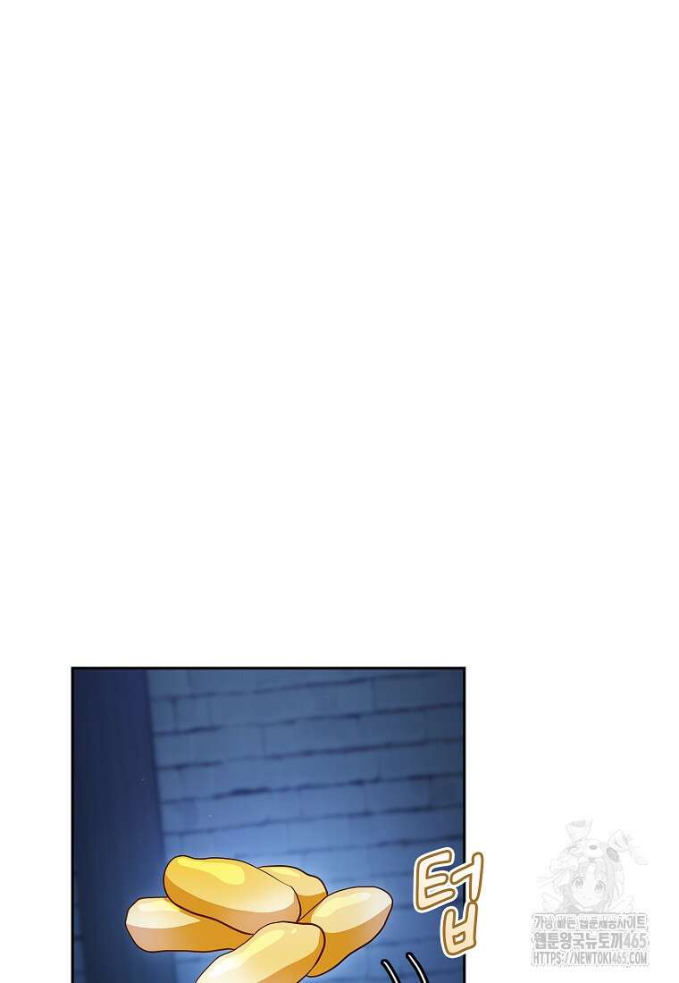 마법학교 마법사로 살아가는 법 119화 13