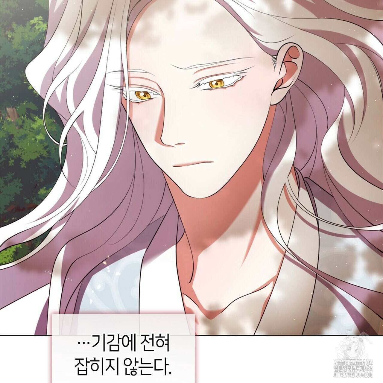 마교 교주를 애지중지 키웠다 57화 17