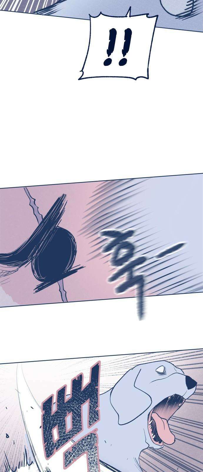 반려짐승 50화 4